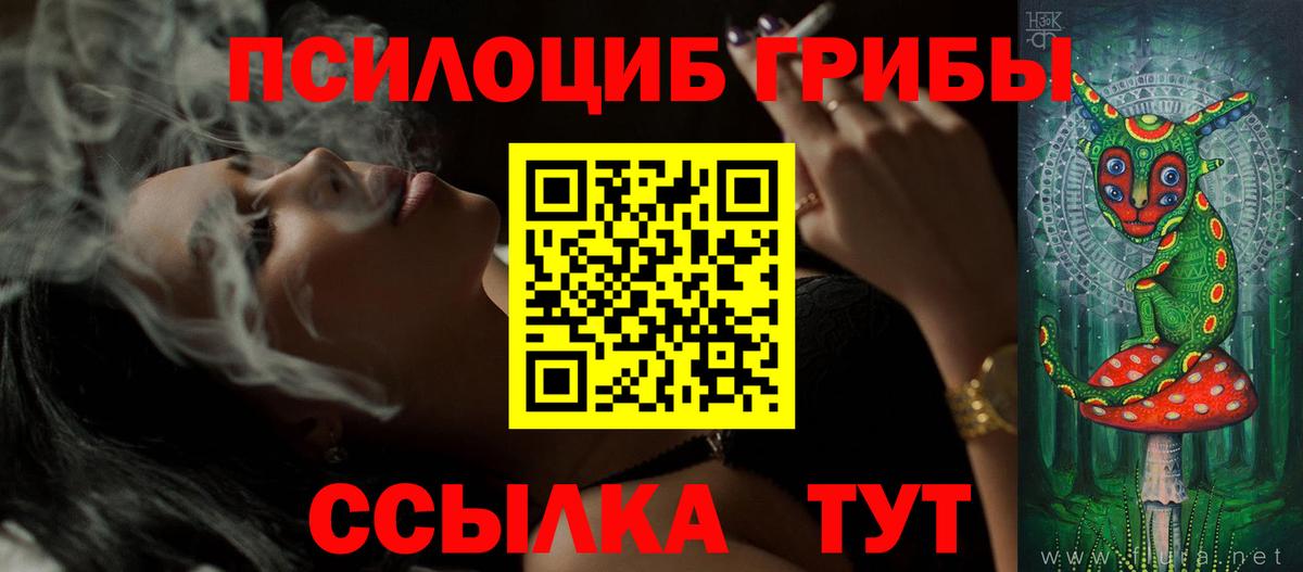 Клин  Псилоцибиновые грибы Psilocybine cubensis  купить закладку  Вход с VPN 
